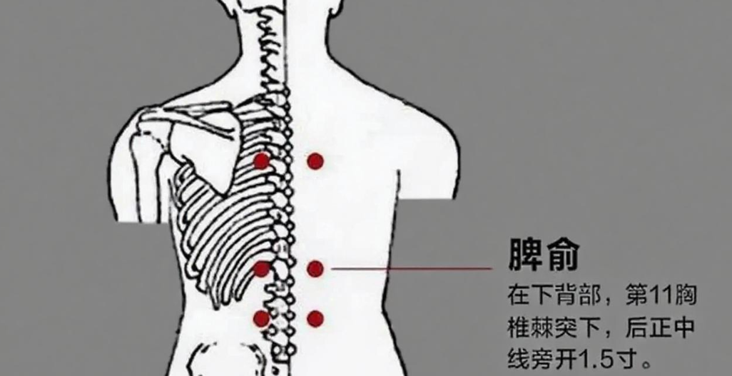 人体常见48个穴位，作用、按揉手法，图文取穴，实用指南！ - 知乎