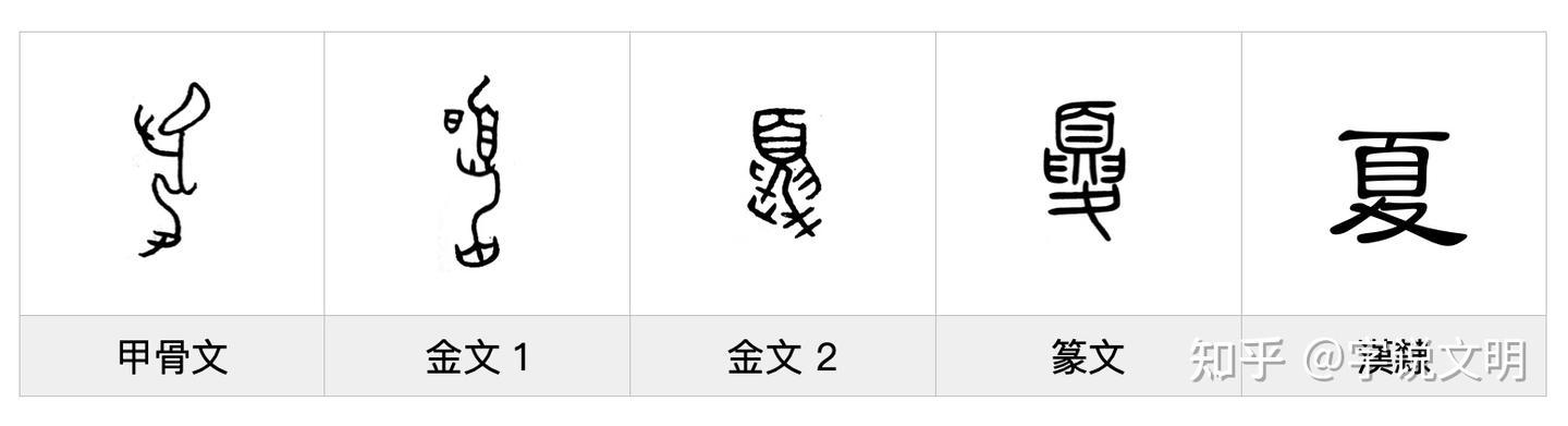 夏——每日一字·夊部字 - 知乎