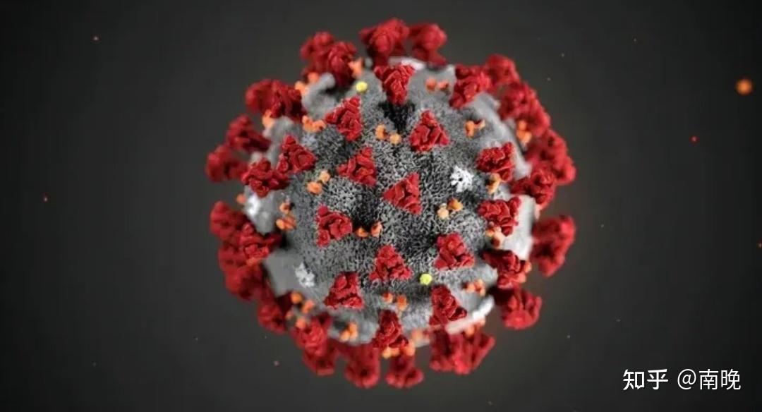 Rna 病毒与 Dna 病毒哪个更恐怖？ 知乎 