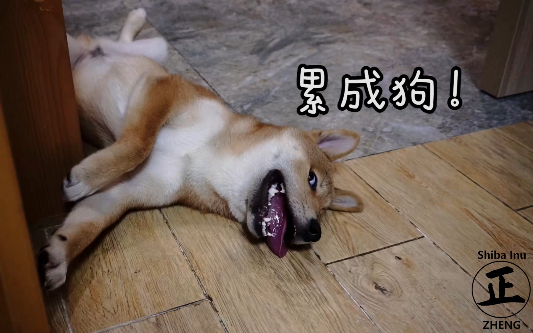 为什么很多男生在相亲时,听到女生「喜欢旅行」「爱好旅游」会很抵触?