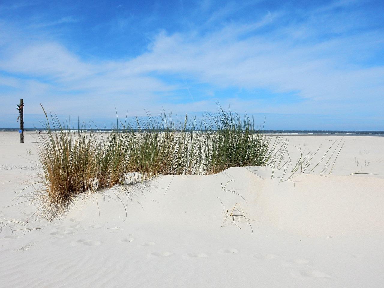 4. 珊瑚海手机配件