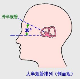 神奇的“第六感”——人体平衡机制研究 - 知乎
