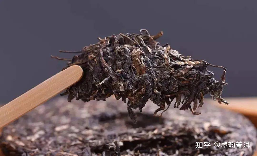 一韵越千年,揭秘古茶树的价值及存在意义 - 知乎