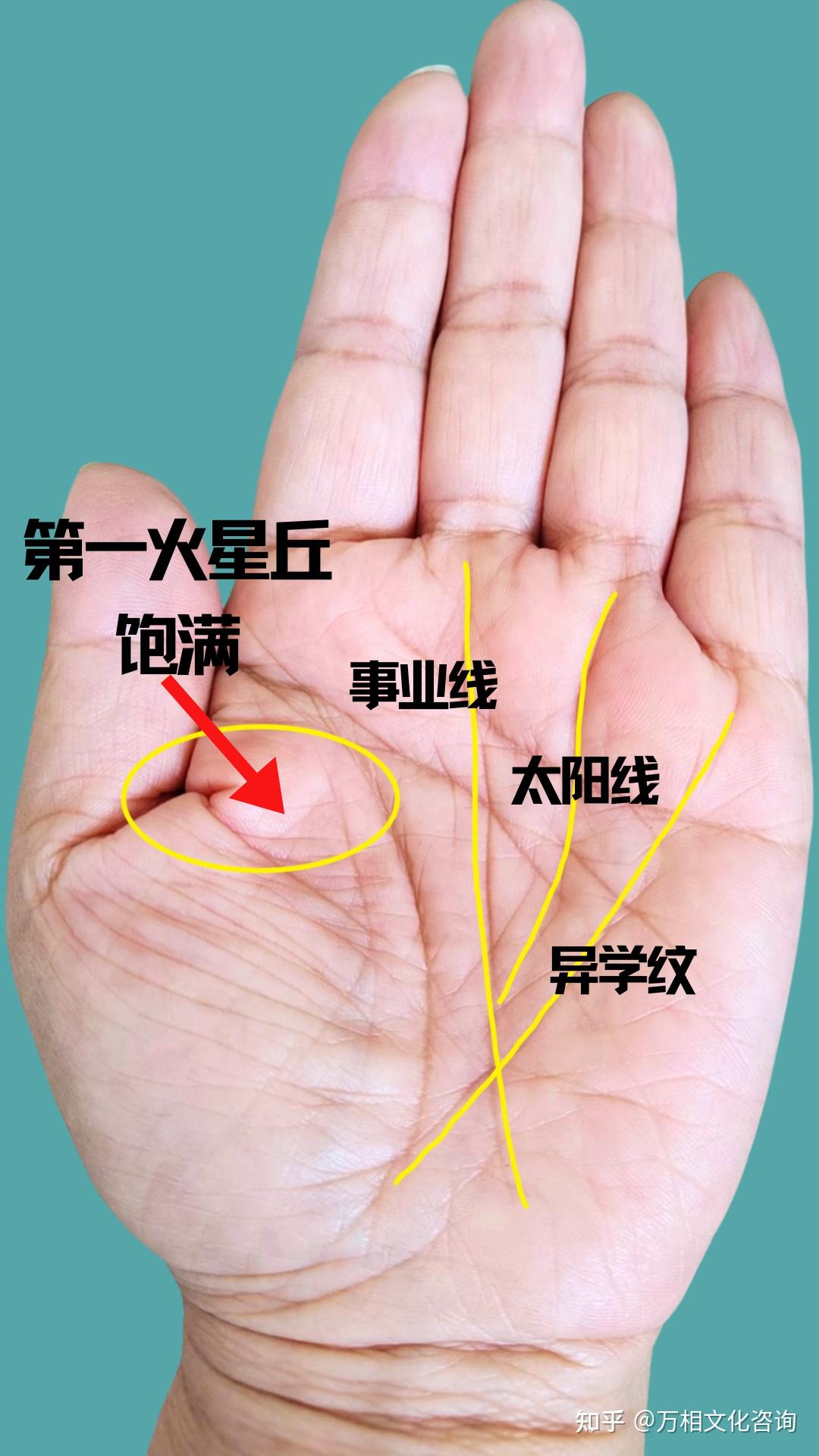 你的赚钱方法是什么?
