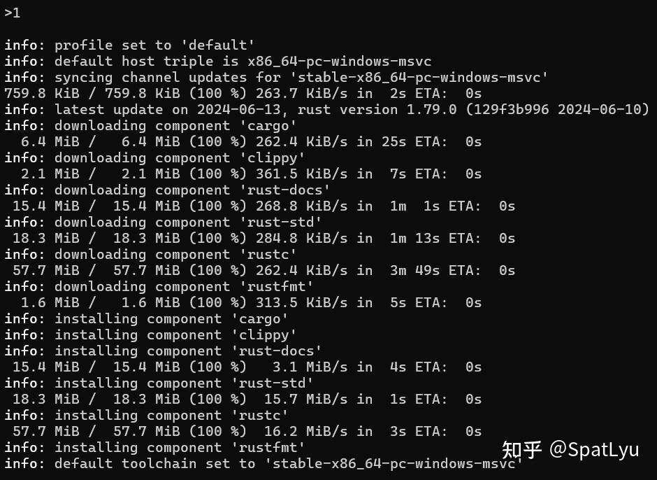 Win11 rust 