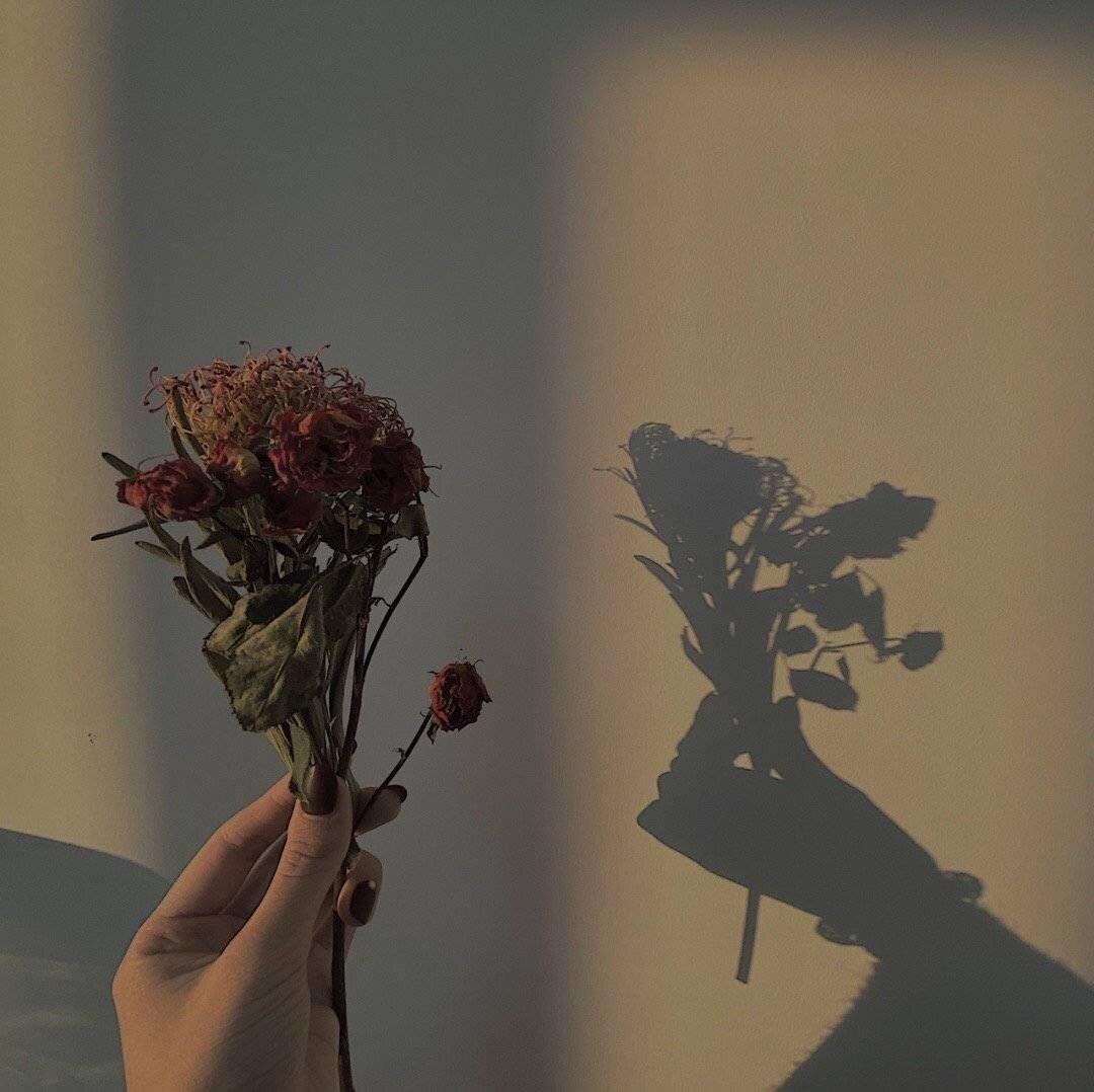 有什么配图的高级感朋友圈文案吗字数精炼不要太矫情