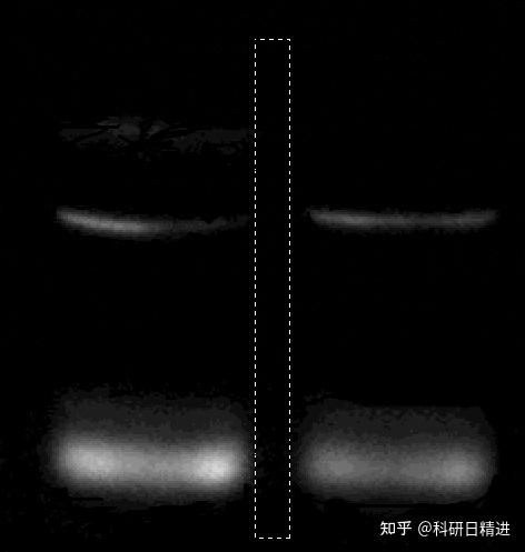 计算条带灰度,就交给photoshop吧~ - 知乎