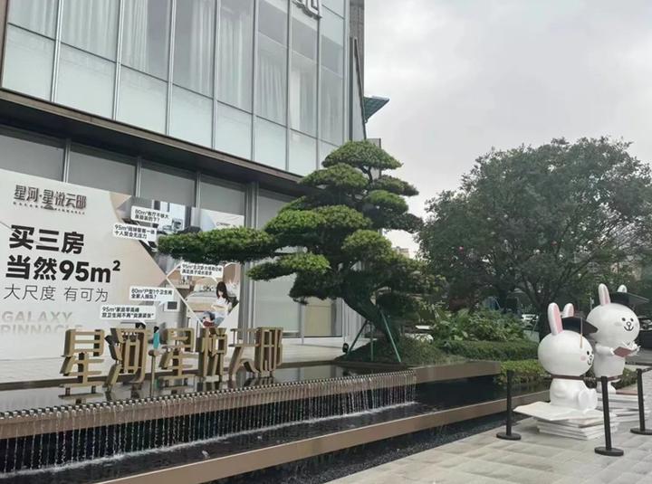 星河星悦云邸!作为大浪NO.1的楼盘,40万首付上车值得吗? - 知乎