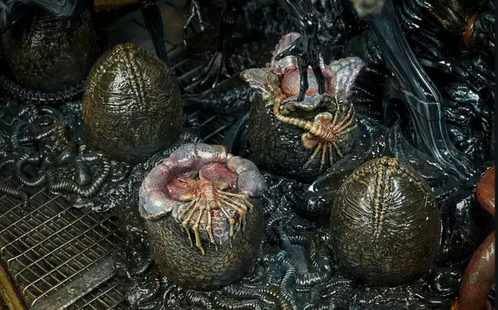 为何每个人都想看异形的蛋记录我神奇的梦