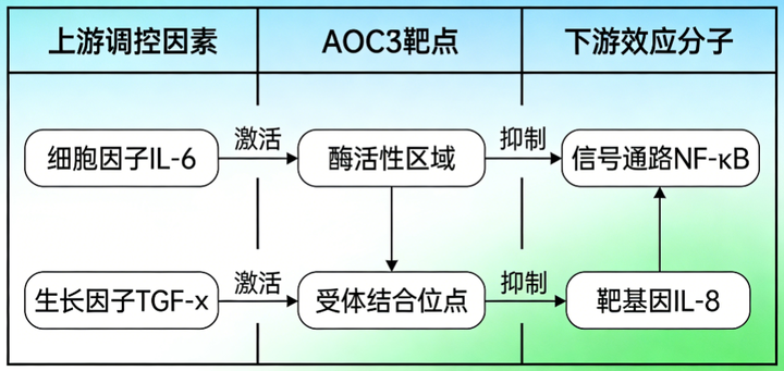 卡梅德生物：AOC3(Amine Oxidase, Copper Containing 3)靶点深度解析：从机制到应用 - 知乎