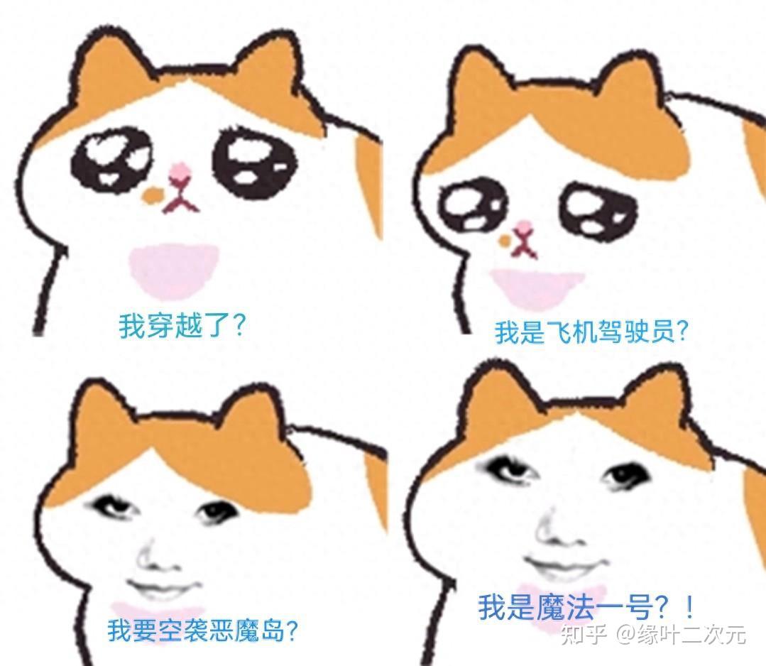 找一张猫猫在一堆纸里面找meme图的meme图？ - 知乎