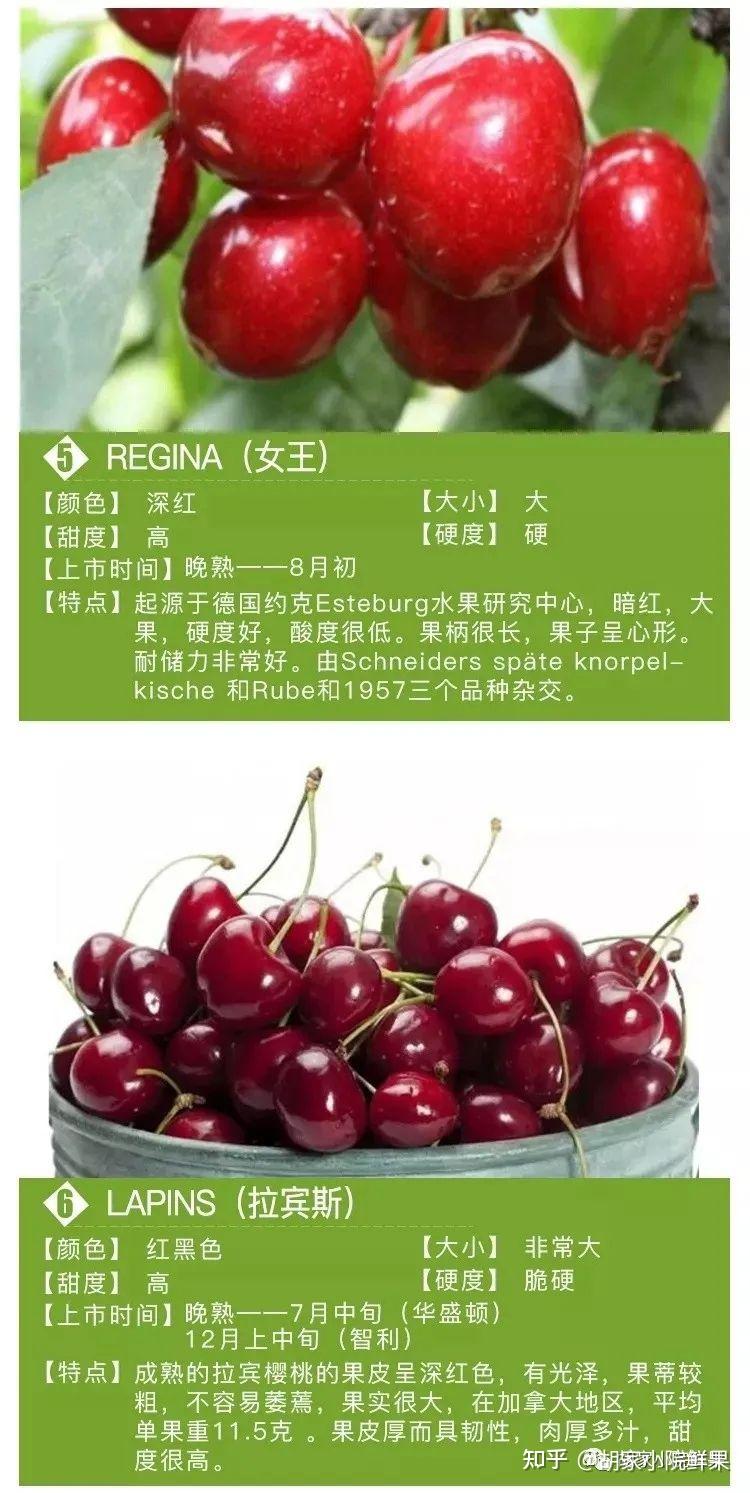 桑缇娜和拉宾斯哪个品种的车厘子好吃