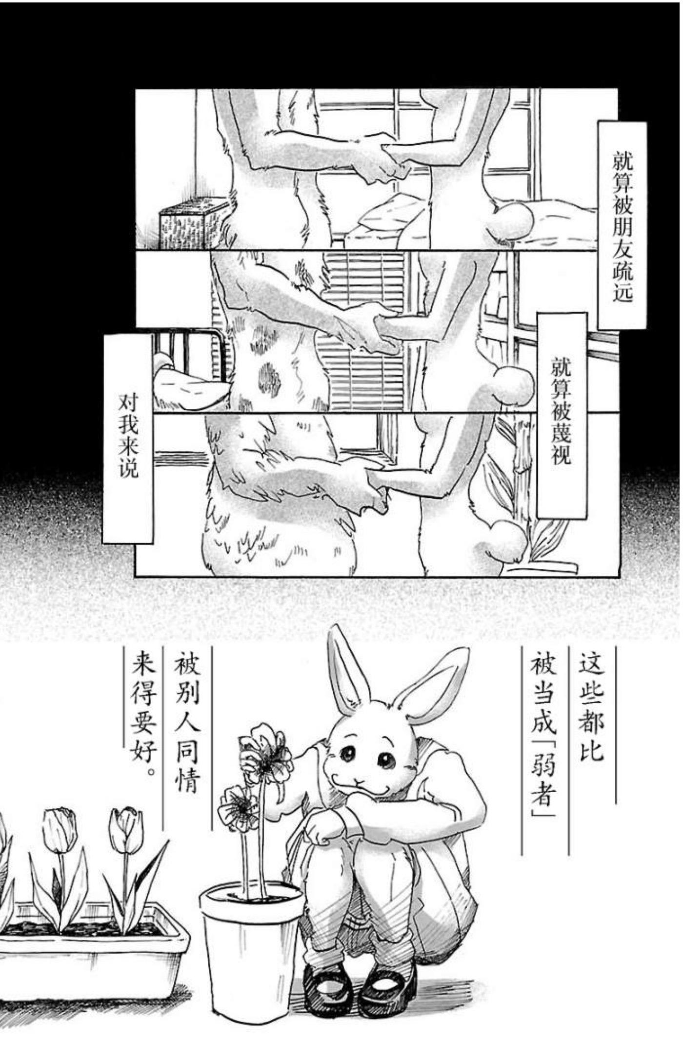 动物狂想曲兔子黄漫画图片