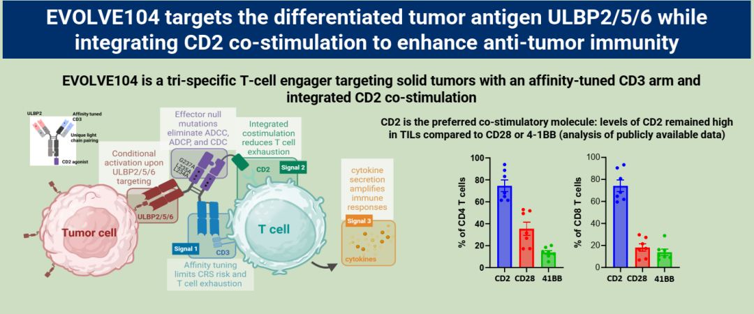TCE三抗///CD3/CD2/ULBP2/5/6三抗///鳞状肿瘤临床前疗效 - 知乎