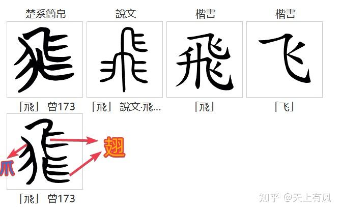 甲骨文中飛字和鳥隹字的造字原型是否有關