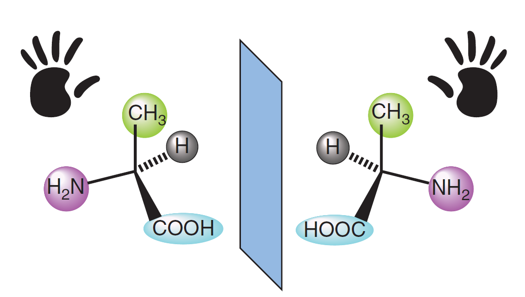 吃一小勺手性分子会怎么样? - 知乎
