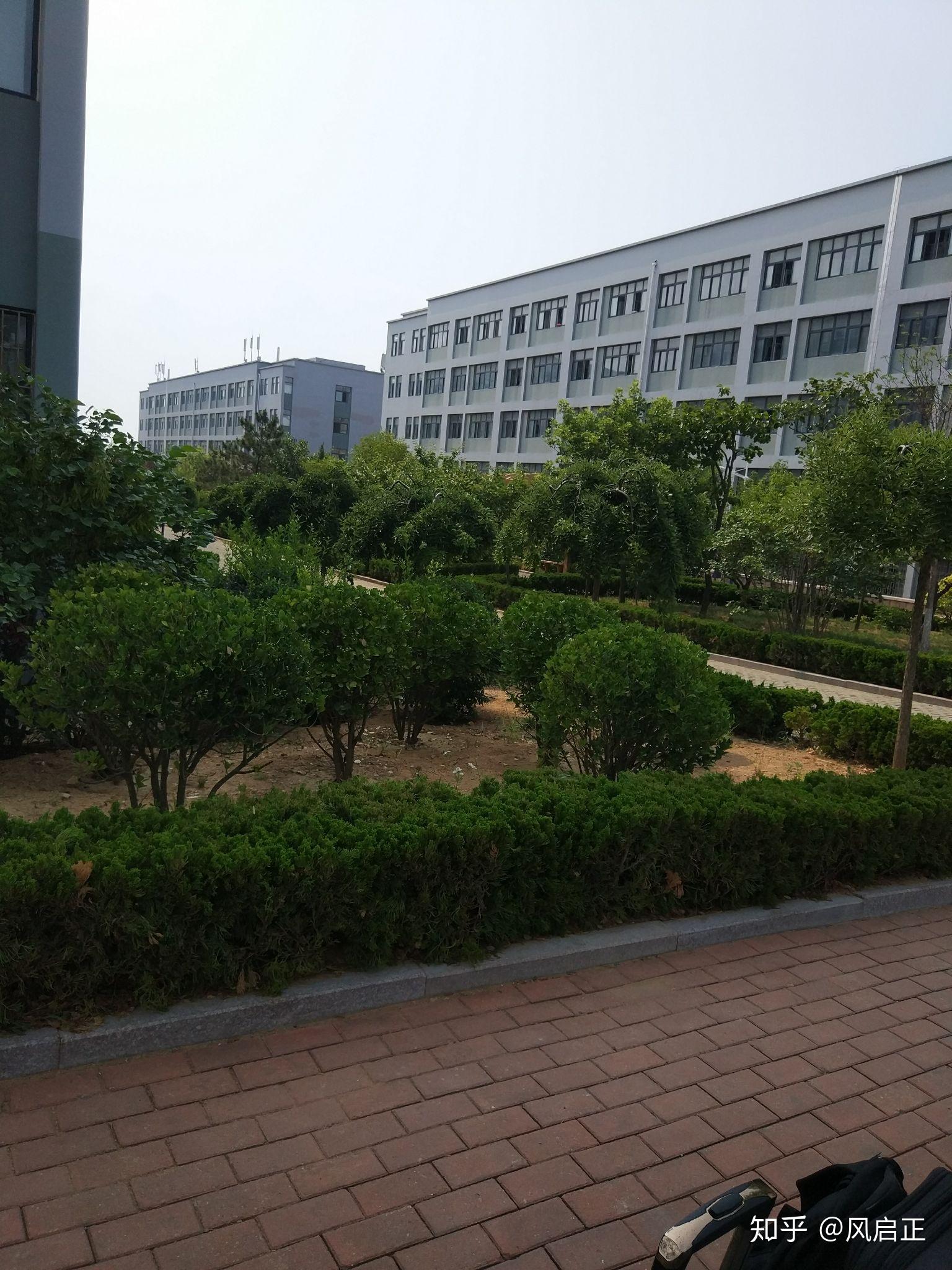 青岛科技大学崂山区图片