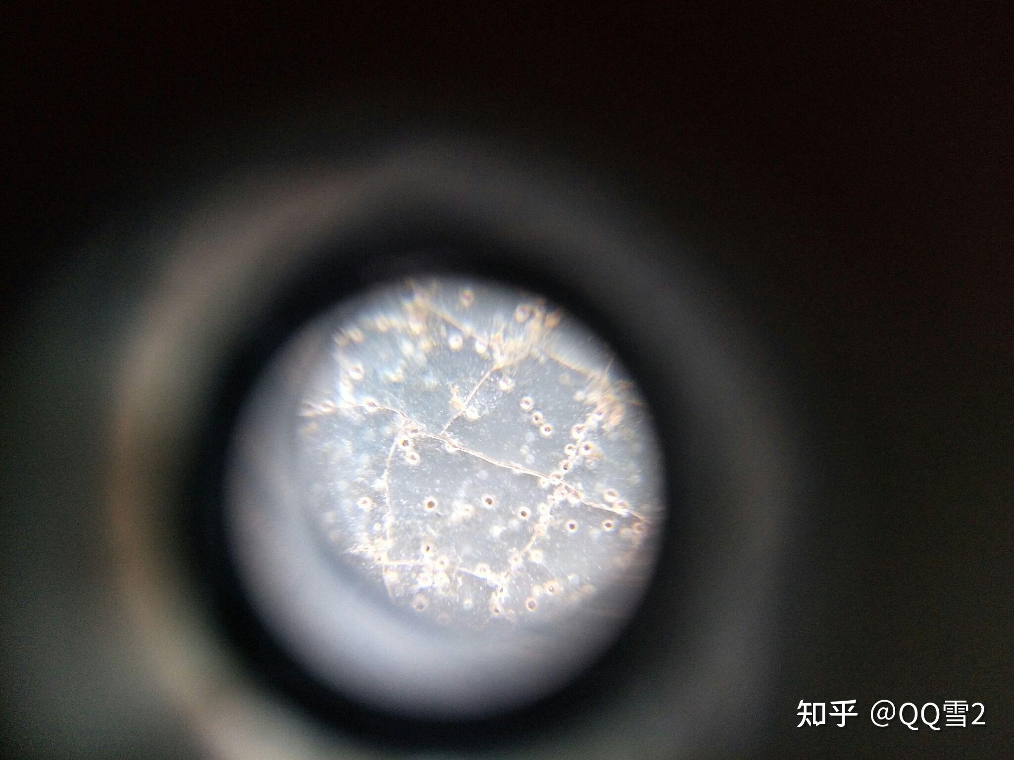 汝瓷的蟹爪纹到底是什么? - 知乎