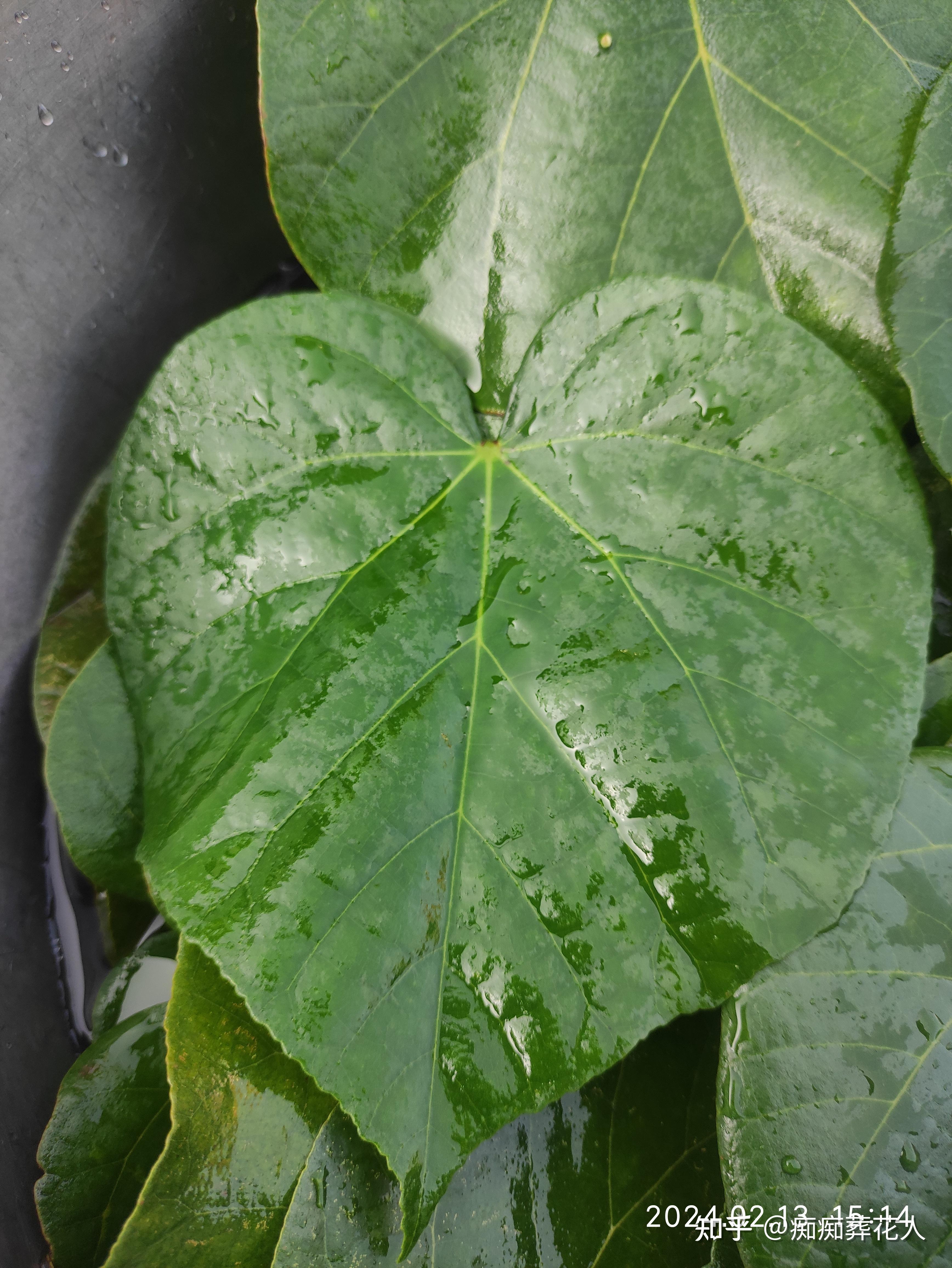 哔站_站的拼音_站的笔顺