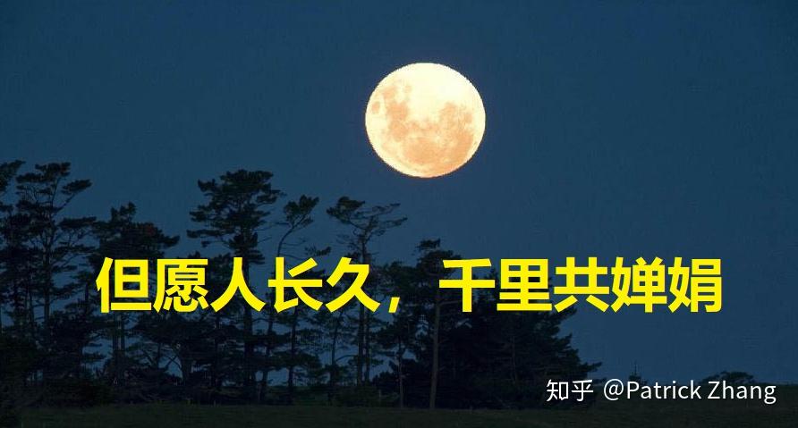 但愿人长久千里共婵娟除了这个还有什么类似的诗句