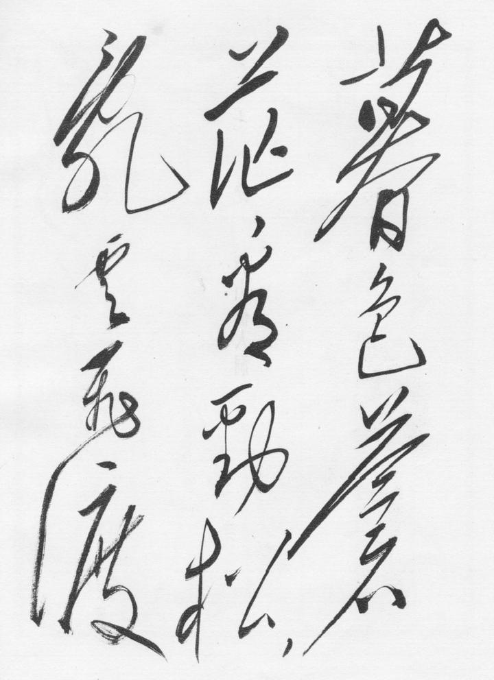 张小龙申论练习方法论