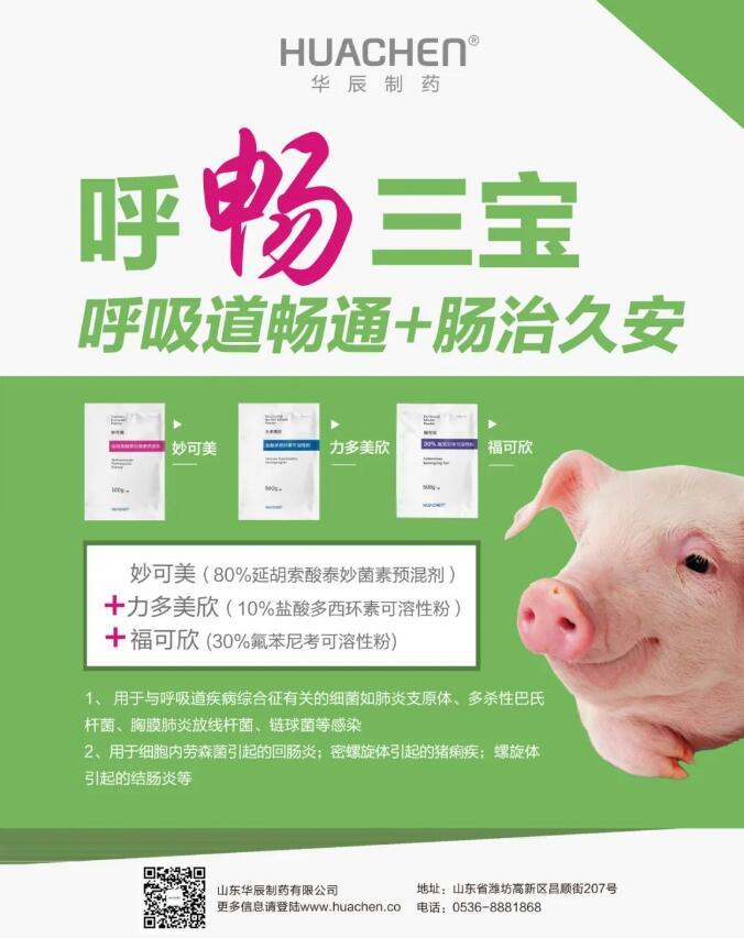 猪流感的危害 - 知乎