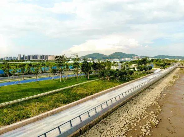 广州南沙灵山岛尖:"会呼吸"的超级堤岸