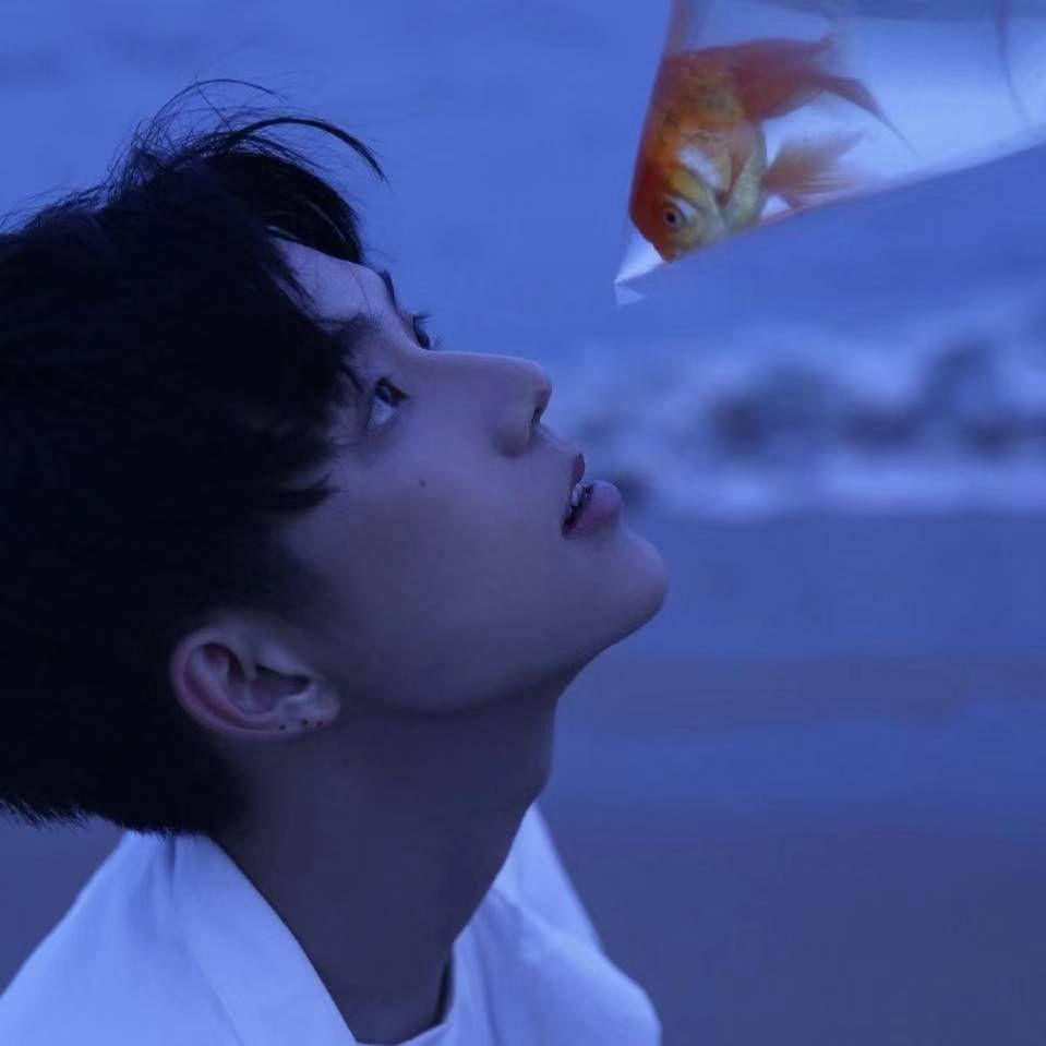 能不能分享一些蓝色系的情侣头像呢?