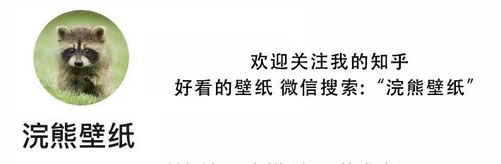 有什么美到极致的绿色壁纸?(绿色壁纸好看卡通动漫)