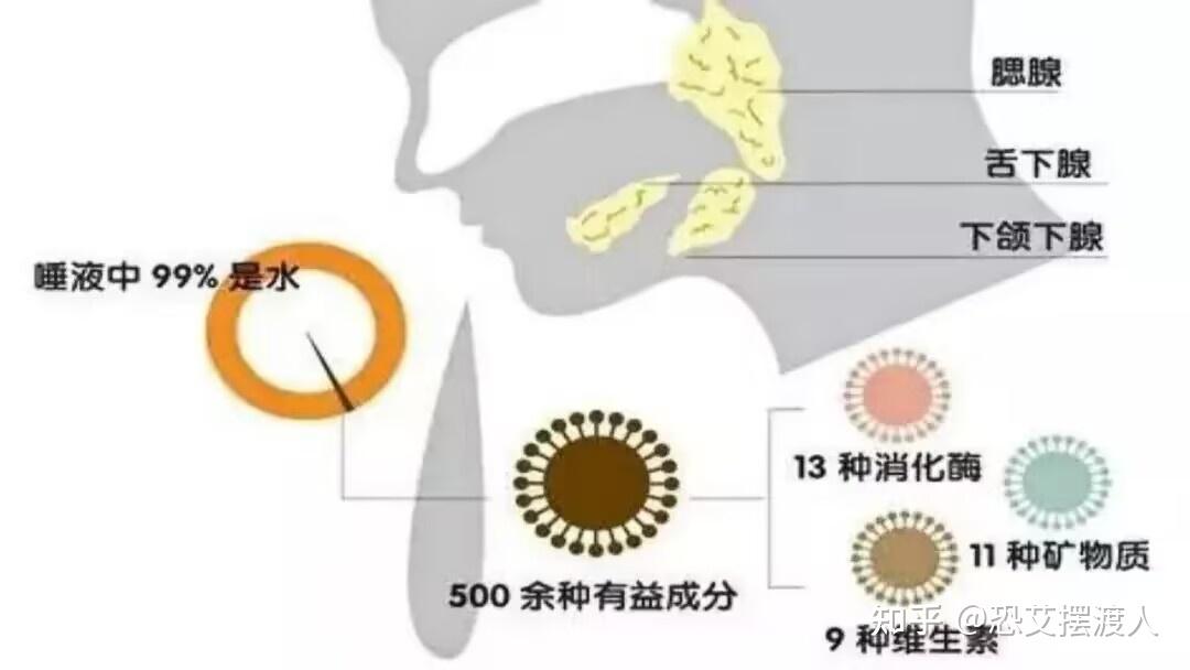 舌吻会感染hiv和梅毒嘛? - 知乎