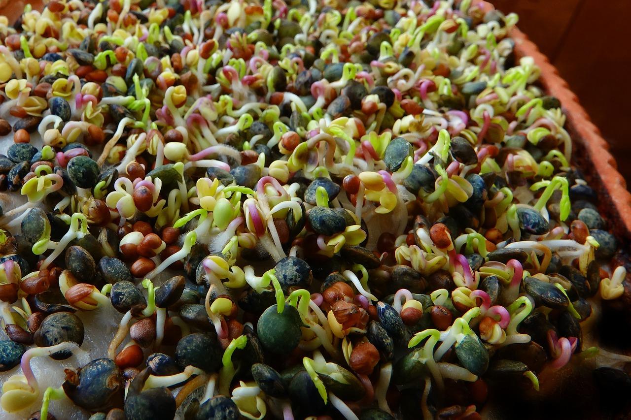 家常牛肉丝的诱惑