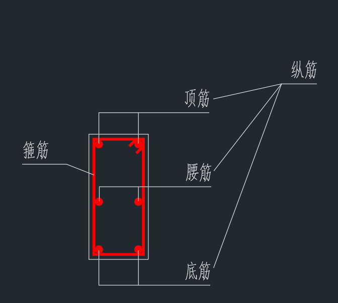 能用图像解释下,面筋,底筋,箍筋,腰筋,架筋以及纵筋的区别吗? - 知乎
