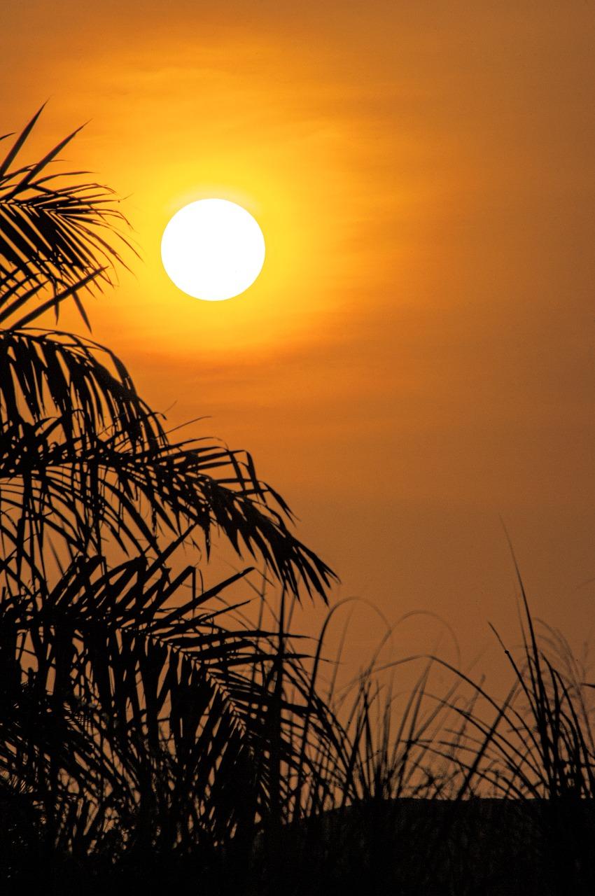 桃红柳绿春景美