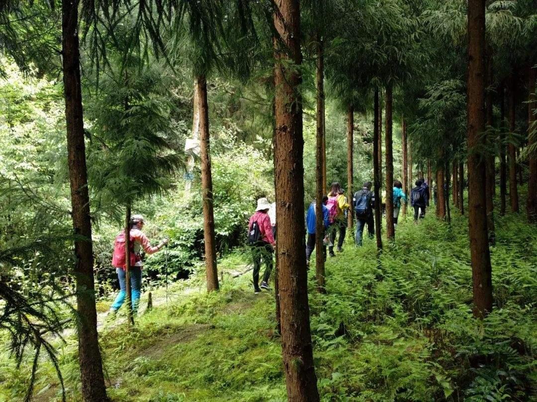 长期进行徒步登山,对身体产生的十大益处 - 知乎