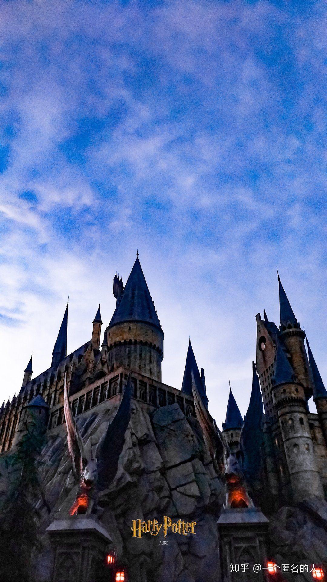 分享一点哈利波特的壁纸电影截图好吗?