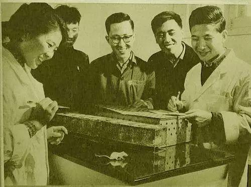 特楼的人们 | 追忆中国现代科学的脊梁——淡泊名利的放射化学家杨承宗 - 知乎