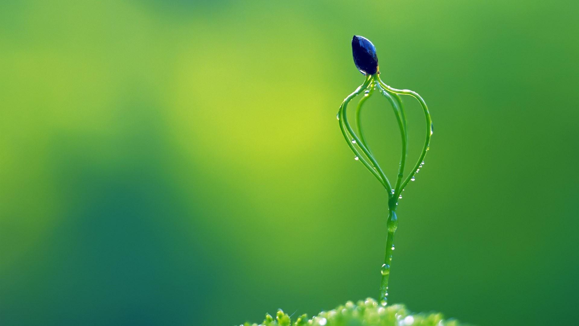 无论人类怎样宣扬唯物主义,都无法改变唯心的事实