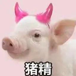 猪妞表情包:仙女下凡(直接存) - 知乎
