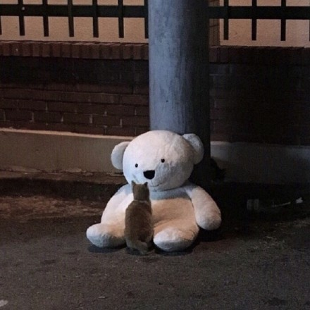 有没有什么emo时发的朋友圈图片? - 知乎