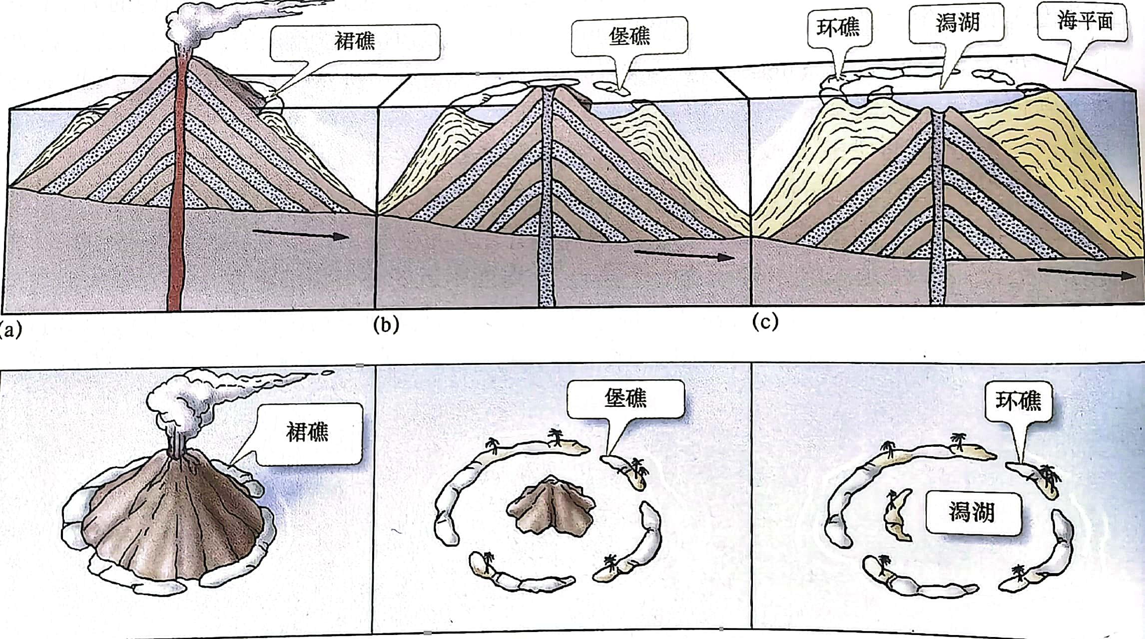 珊瑚礁环岛是怎样形成的?