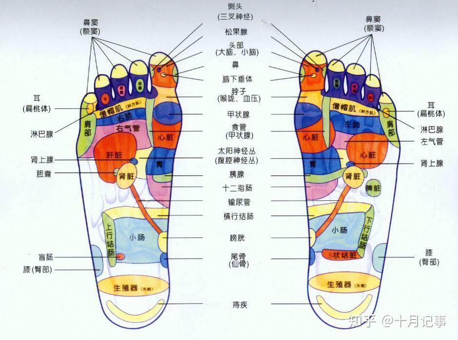 女孩子拥有一双好看的脚是一种怎么样的体验? - 知乎