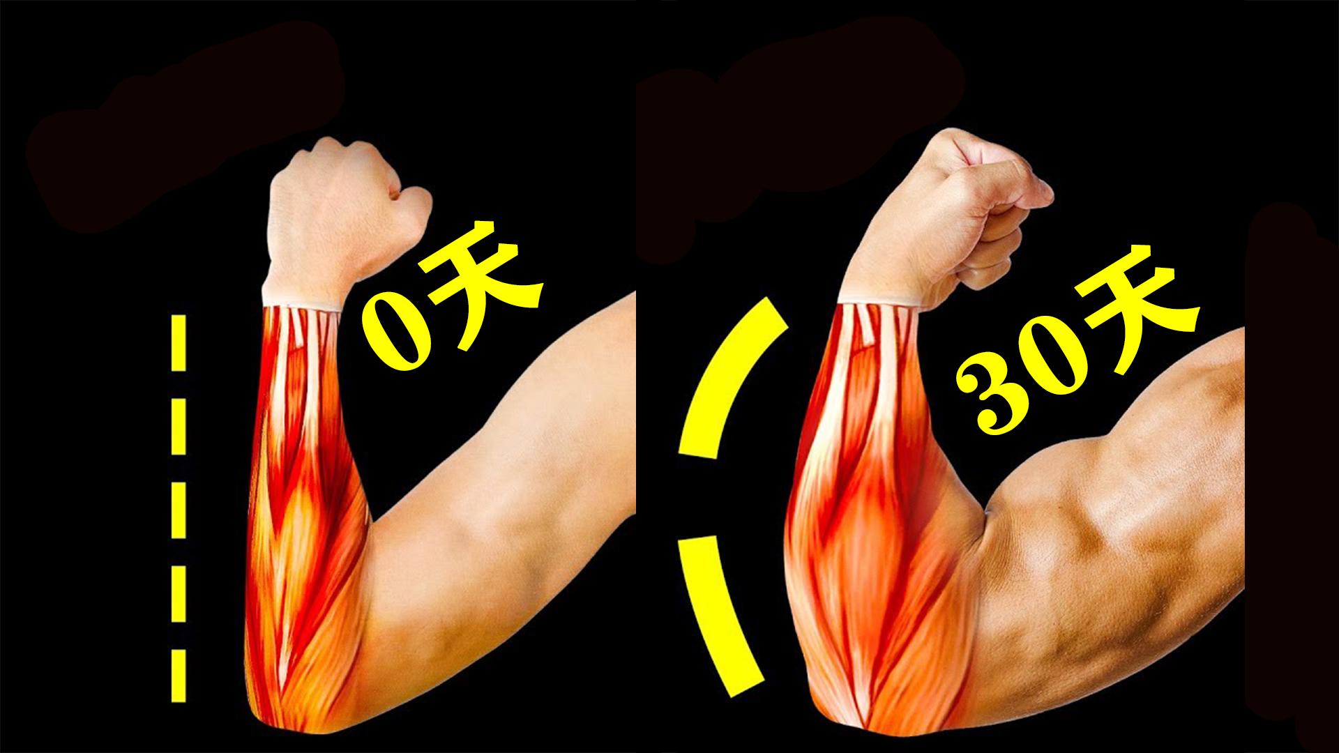 在健身房,如何锻炼小臂肌肉? - 知乎