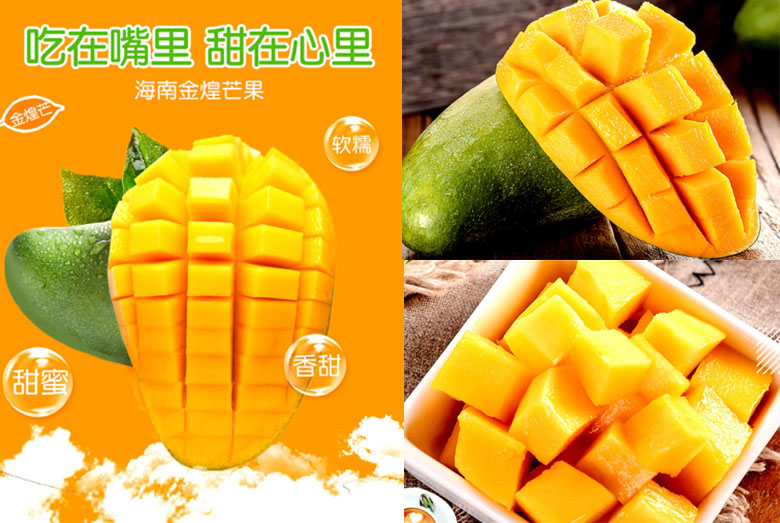5月芒果成熟季到啦 爱吃芒果的小伙伴快来一饱眼福吧 知乎