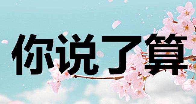 地道口语用英语怎么说你说了算