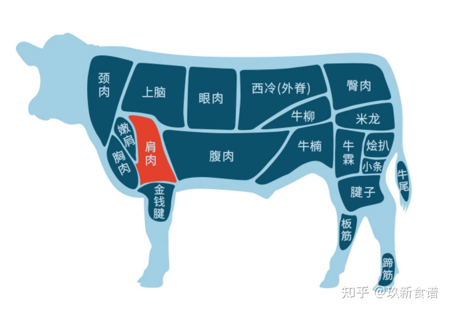 牛的上脑肉指什么部位