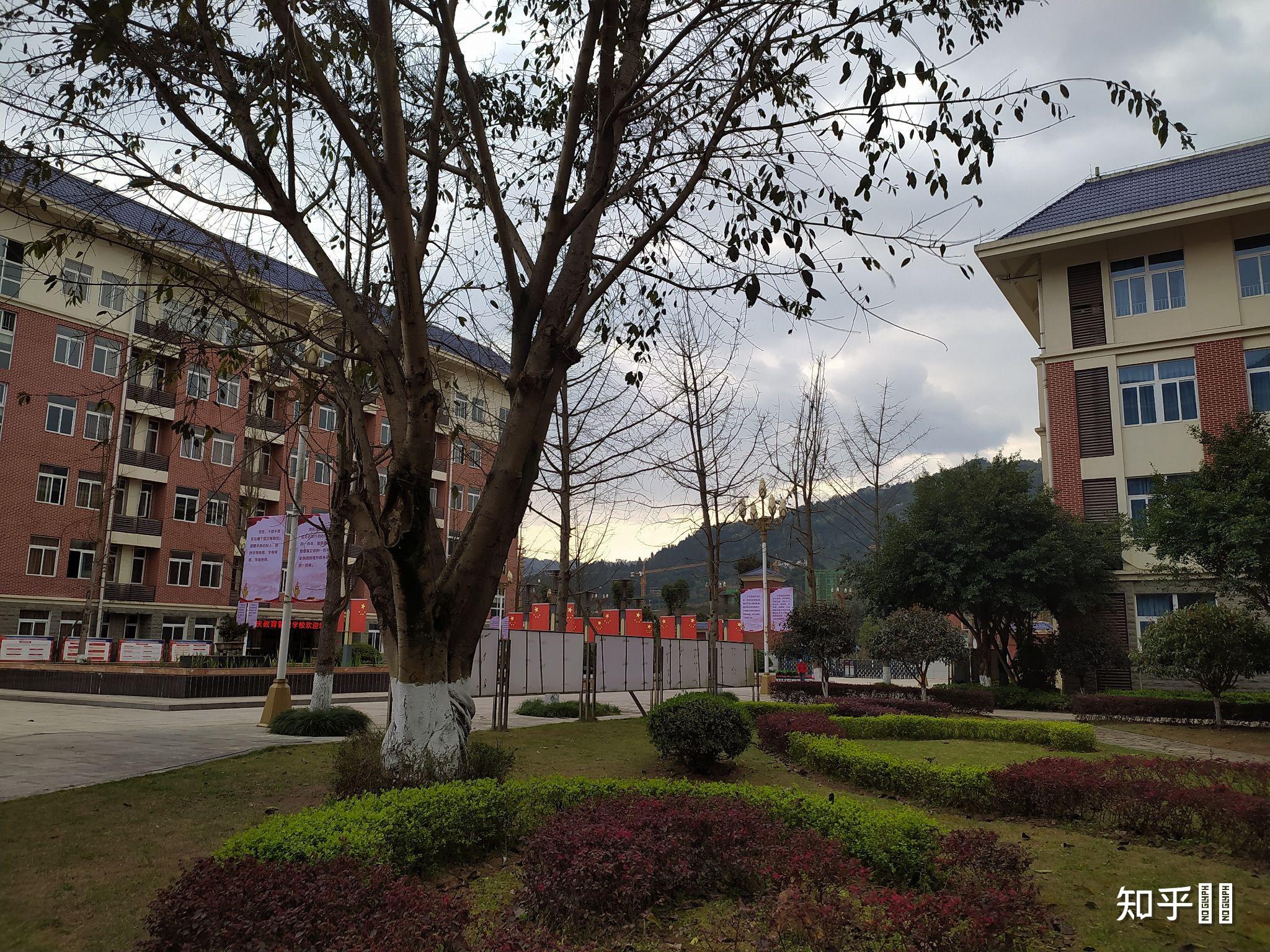 重庆青年技术学院图片