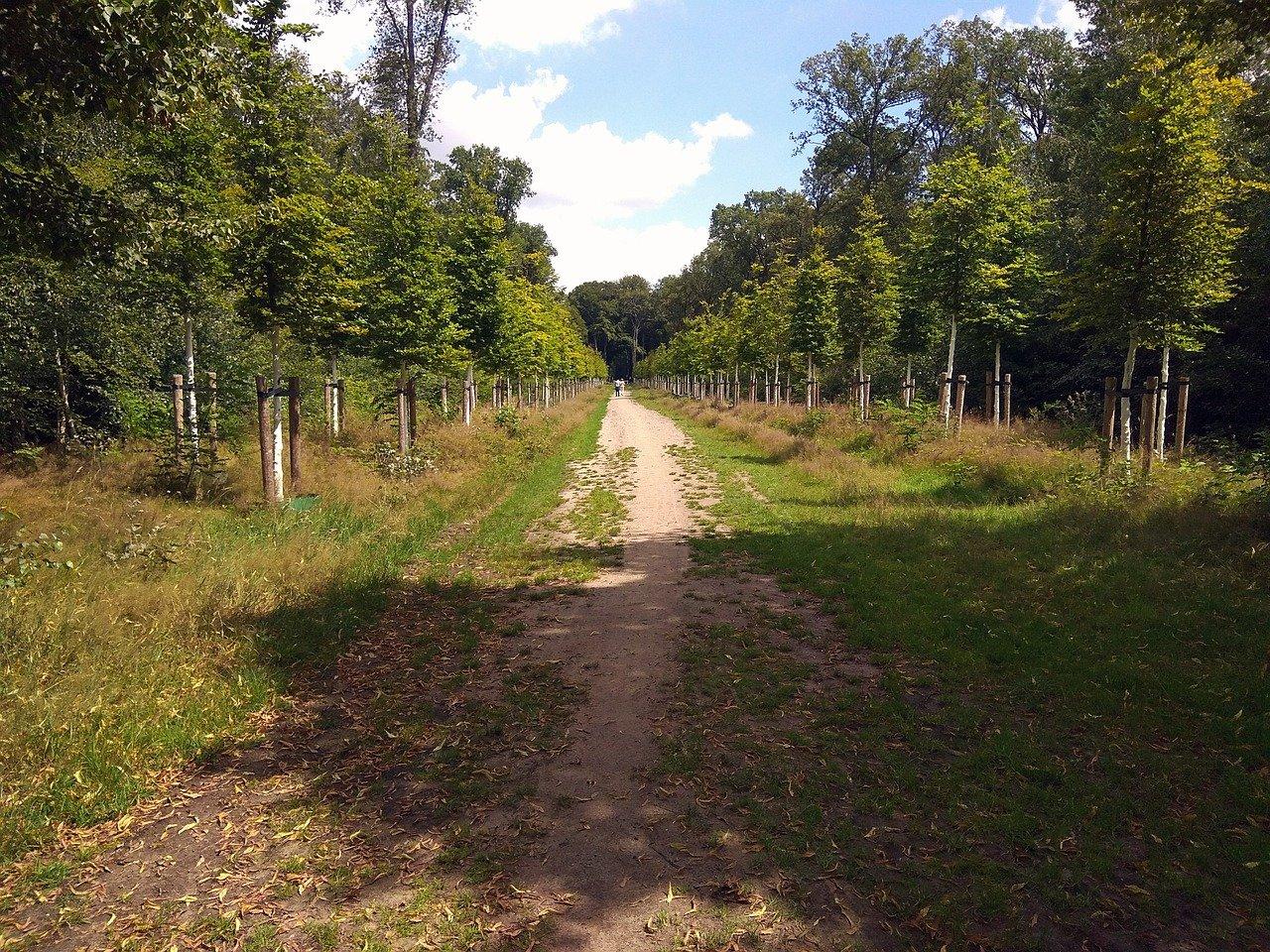 3. 香槟小镇位置