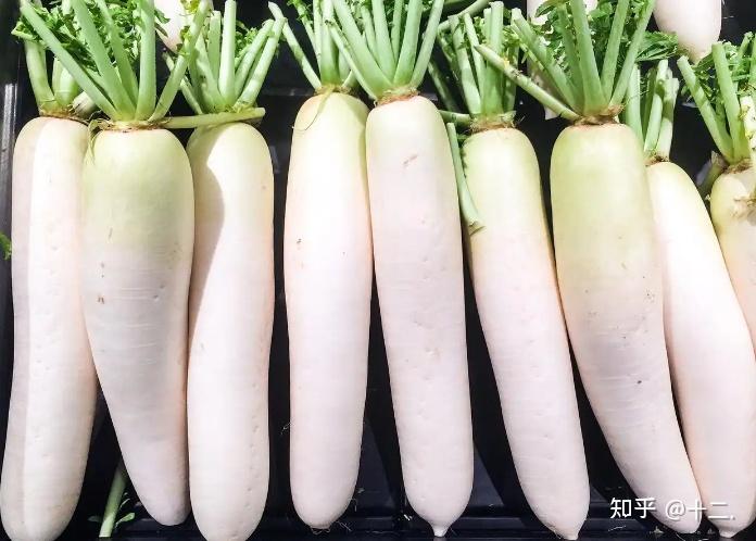 白萝卜:从田间到餐桌的清甜馈赠 - 知乎