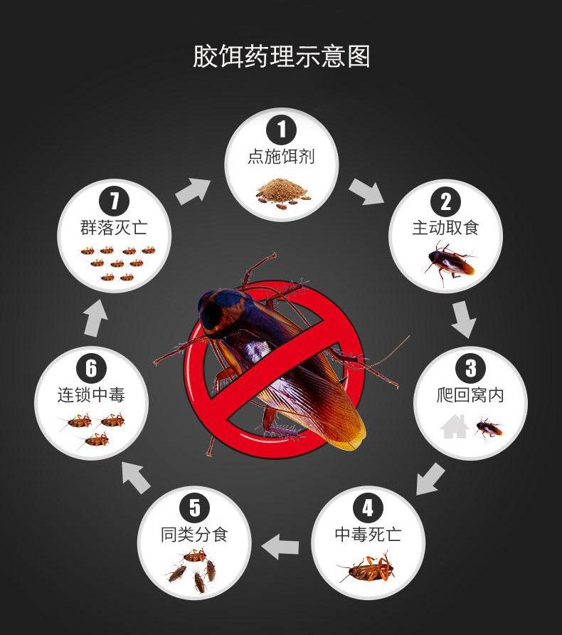 如何彻底消灭德国小蠊蟑螂?