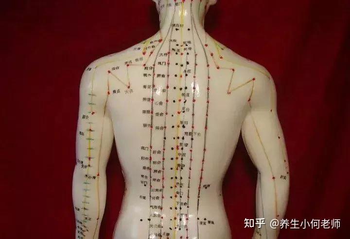 十大补气穴位和十大补血穴位 - 知乎